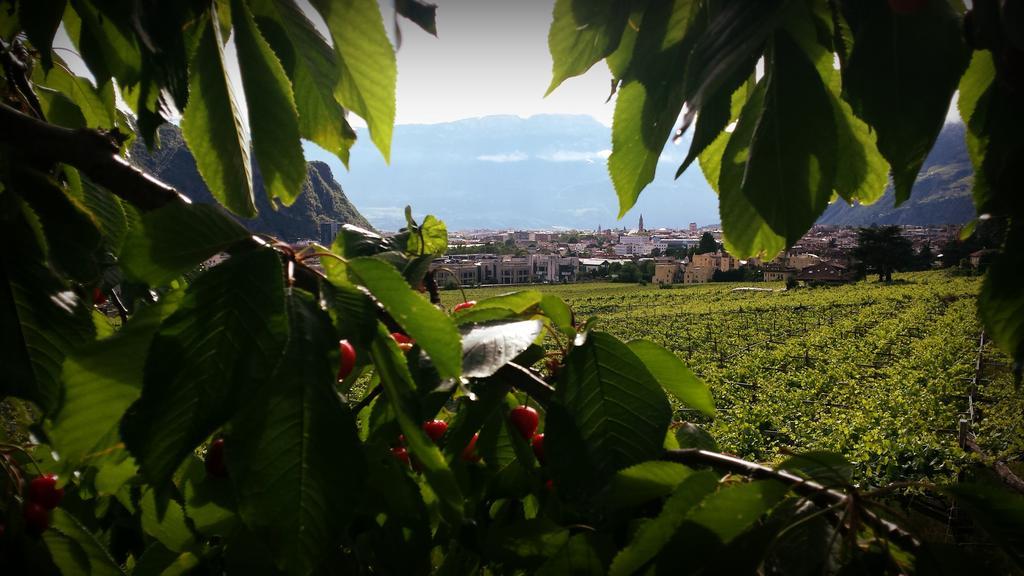 Hotel Rentschnerhof Bolzano Zewnętrze zdjęcie