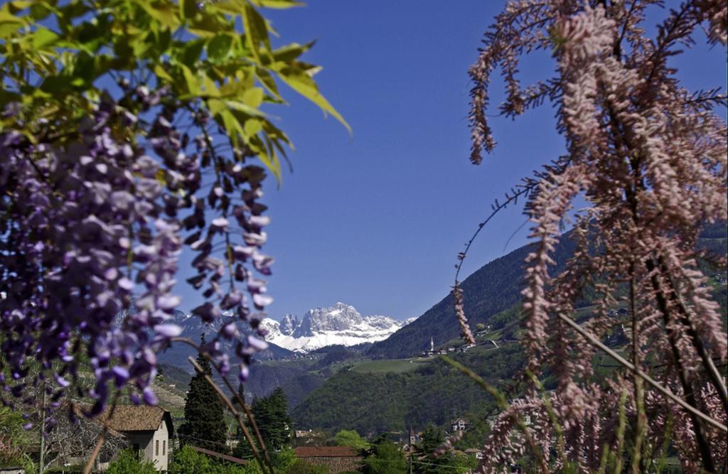 Hotel Rentschnerhof Bolzano Zewnętrze zdjęcie